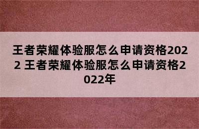 王者荣耀体验服怎么申请资格2022 王者荣耀体验服怎么申请资格2022年